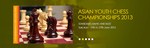 asian youth 2013