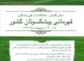 جشنواره قهرمانی پیشکسوتان ایران
